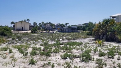 This Is One Of Those Legacy Lots You Rarely See For Sale. HUGE 0 - photo 24