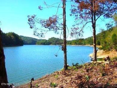 Norris Lake Lot For Sale in New Tazewell Tennessee