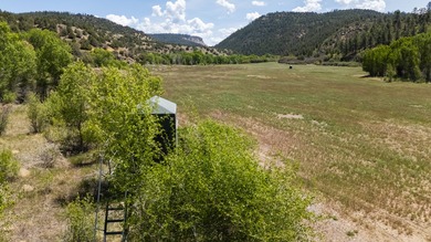 Ripple Valley Ranch is +-410 acre and is an absolutely premier - photo 5