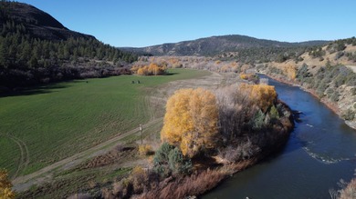 Ripple Valley Ranch is +-410 acre and is an absolutely premier - photo 9