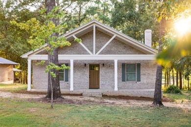 Lake Eufaula / Walter F. George Home For Sale in Fort Gaines Georgia