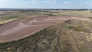 (private lake, pond, creek) Lot For Sale in Sweetwater Texas