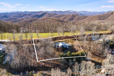 Positioned at approximately 4,800 feet within Wolf Laurel Resort - photo 10
