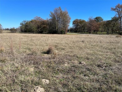 An exciting opportunity for someone looking to establish a new - Lake Acreage For Sale in Winnsboro, Texas