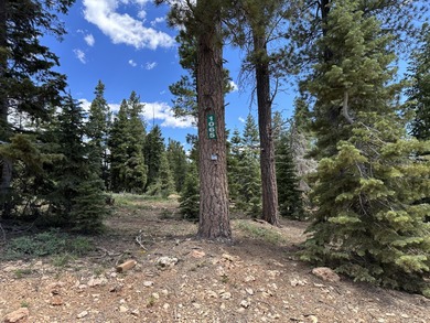 Navajo Lake Lot For Sale in Duck Creek Utah