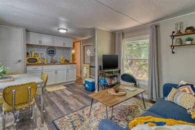 Updated, well-maintained 2-bed 1-bath mobile lakefront home on - photo 3