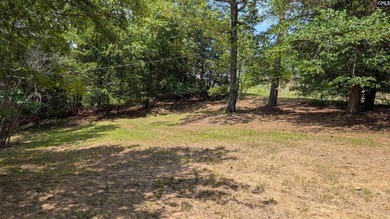 Perfect weekender or permanent residence on Lake Wateree! 3 - photo 40
