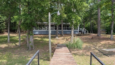 Perfect weekender or permanent residence on Lake Wateree! 3 - photo 49