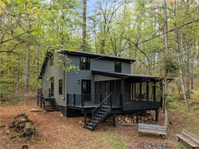 Lake Home For Sale in Piedmont, Ohio