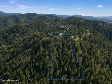 Set on 9.81 private acres with rare dual lake views of Fernan - photo 5