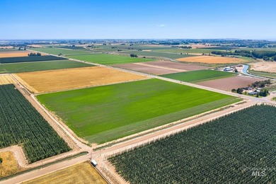 Simplot Blvd/Hwy 19 - Allendale, 72.19 acres - Light Industrial - photo 6