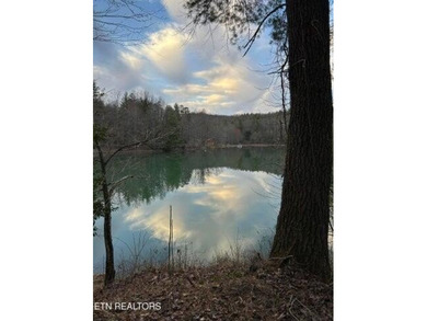Log home right on a private lake in Grandview, TN. 3 bedroom, 2 - photo 7