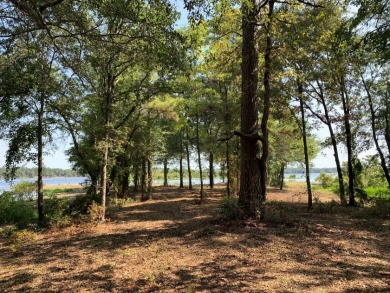 1.63 acres on Lake Palestine - Lake Lot For Sale in LaRue, Texas