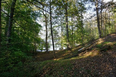 Rare opportunity to own TWO waterfront lots on beautiful Watts - photo 4