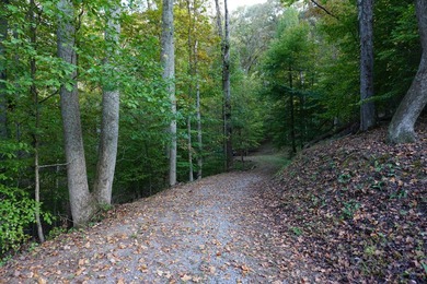 Rare opportunity to own TWO waterfront lots on beautiful Watts - photo 6
