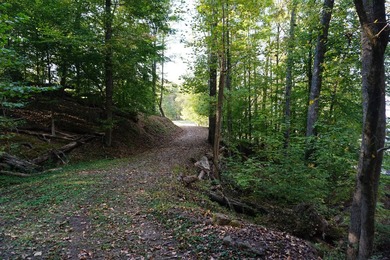 Rare opportunity to own TWO waterfront lots on beautiful Watts - photo 7