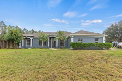Lake Harris Home For Sale in Leesburg Florida