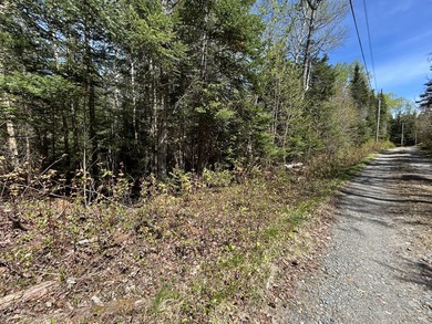 SANDY RIVER PLT - Well wooded 4.18 acre parcel owns 257' road - photo 1