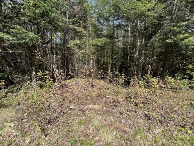 SANDY RIVER PLT - Well wooded 4.18 acre parcel owns 257' road - photo 3