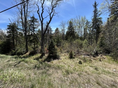SANDY RIVER PLT - Well wooded 4.18 acre parcel owns 257' road - photo 4