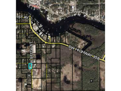 Beautiful Coastal Building / RV Lot near Steinhatchee, Florida! - photo 15