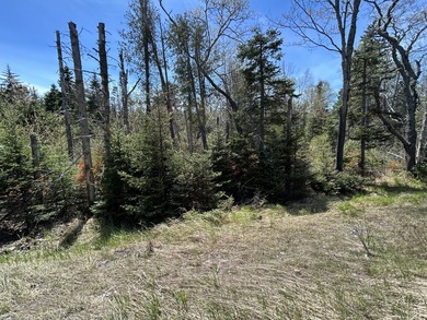 SANDY RIVER PLT - Well wooded 4.18 acre parcel owns 257' road - photo 8