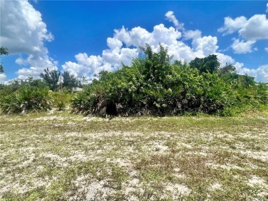 Port Charlotte Waterway Lakes Area Lot For Sale in Port Charlotte Florida
