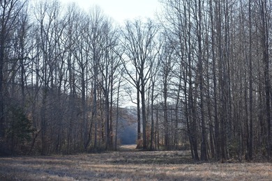 Behind a private gate and thoughtfully developed over - photo 32
