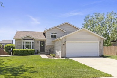 Lake Home Sale Pending in Plainfield, Illinois