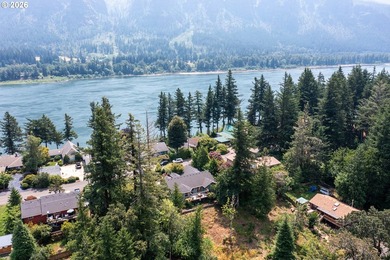 Set in the scenic community of Stevenson, this beautiful home - photo 41