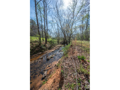 Charming 3-bedroom, 2-bath home nestled on a scenic 1-acre - photo 4
