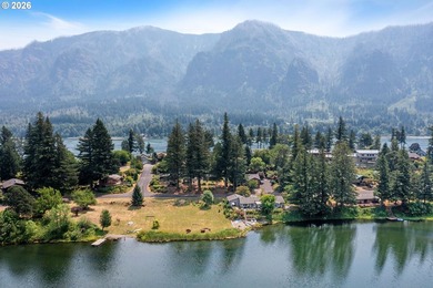 Set in the scenic community of Stevenson, this beautiful home - photo 44
