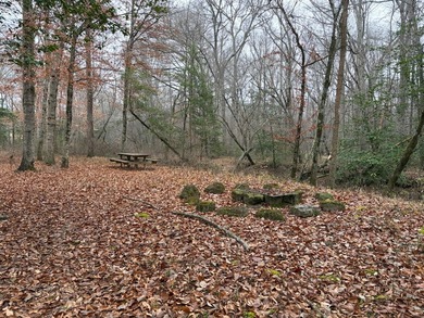 Behind a private gate and thoughtfully developed over - photo 45