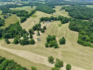 49+/- acres with a home, barns, road frontage, and room to grow - photo 3
