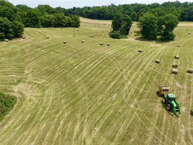 49+/- acres with a home, barns, road frontage, and room to grow - photo 4
