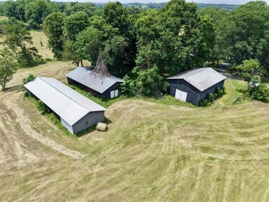 49+/- acres with a home, barns, road frontage, and room to grow - photo 5
