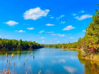 (private lake, pond, coastal) Acreage For Sale in Butler Alabama