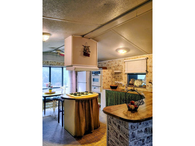 This charming 4-bedroom, 2-bath mobile home presents a fantastic - photo 11