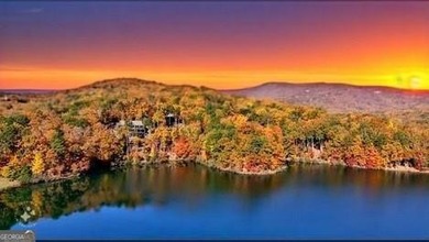 Lake Petit Acreage For Sale in Jasper Georgia