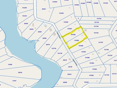 Lake Alan Henry Acreage For Sale in Snyder Texas