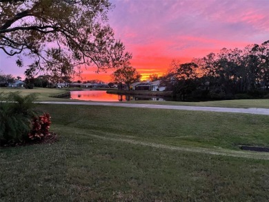 (private lake, pond, creek) Home For Sale in Sarasota Florida