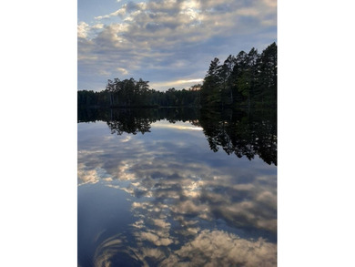 Looking for something quiet, peaceful, and serene? This - photo 11