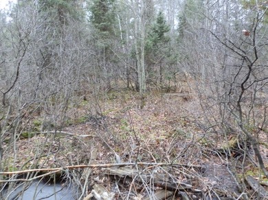 Looking for something quiet, peaceful, and serene? This - photo 14