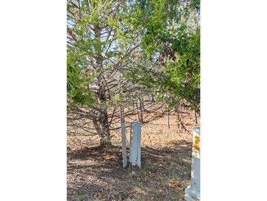 Looking for that ideal East Tennessee property in the mountains? - photo 7