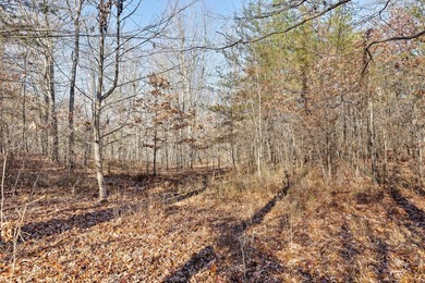 Looking for that ideal East Tennessee property in the mountains? - photo 8
