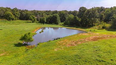 Experience peaceful country living on this beautiful 17.38-acre - photo 4