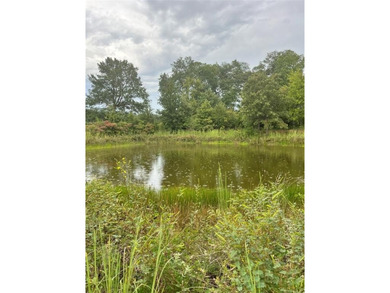 (private lake, pond, creek) Acreage For Sale in Telephone Texas