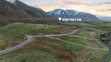 Perched above Utah County with sweeping views in every direction - photo 4