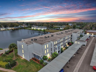 (private lake, pond, coastal) Condo For Sale in Clearwater Florida