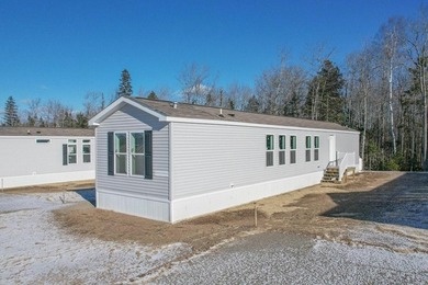 Welcome to Coastal Estates Mobile Home Park, Hancock County's - photo 4